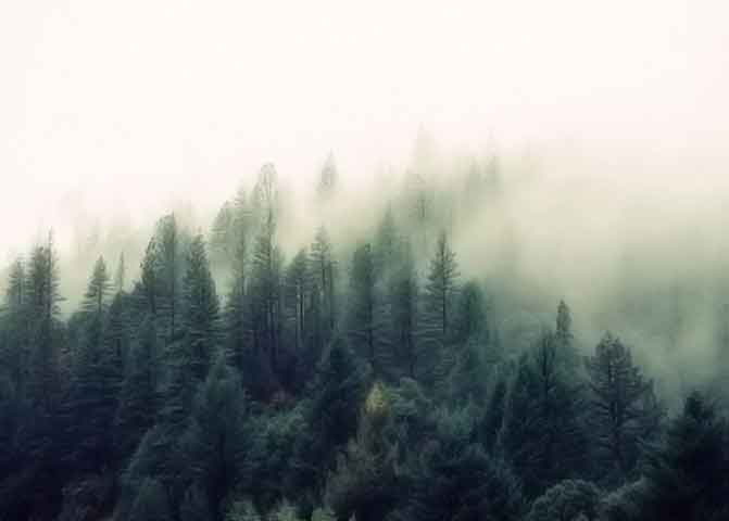 免费商用不违法的无限循环呼叫手机号软件