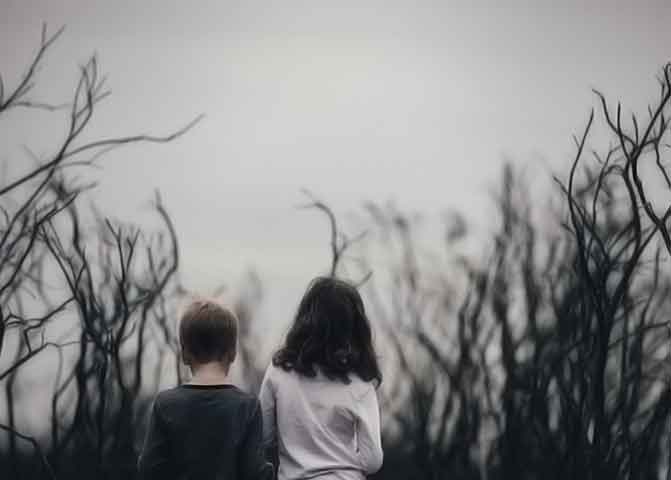 电话呼叫软件网页版